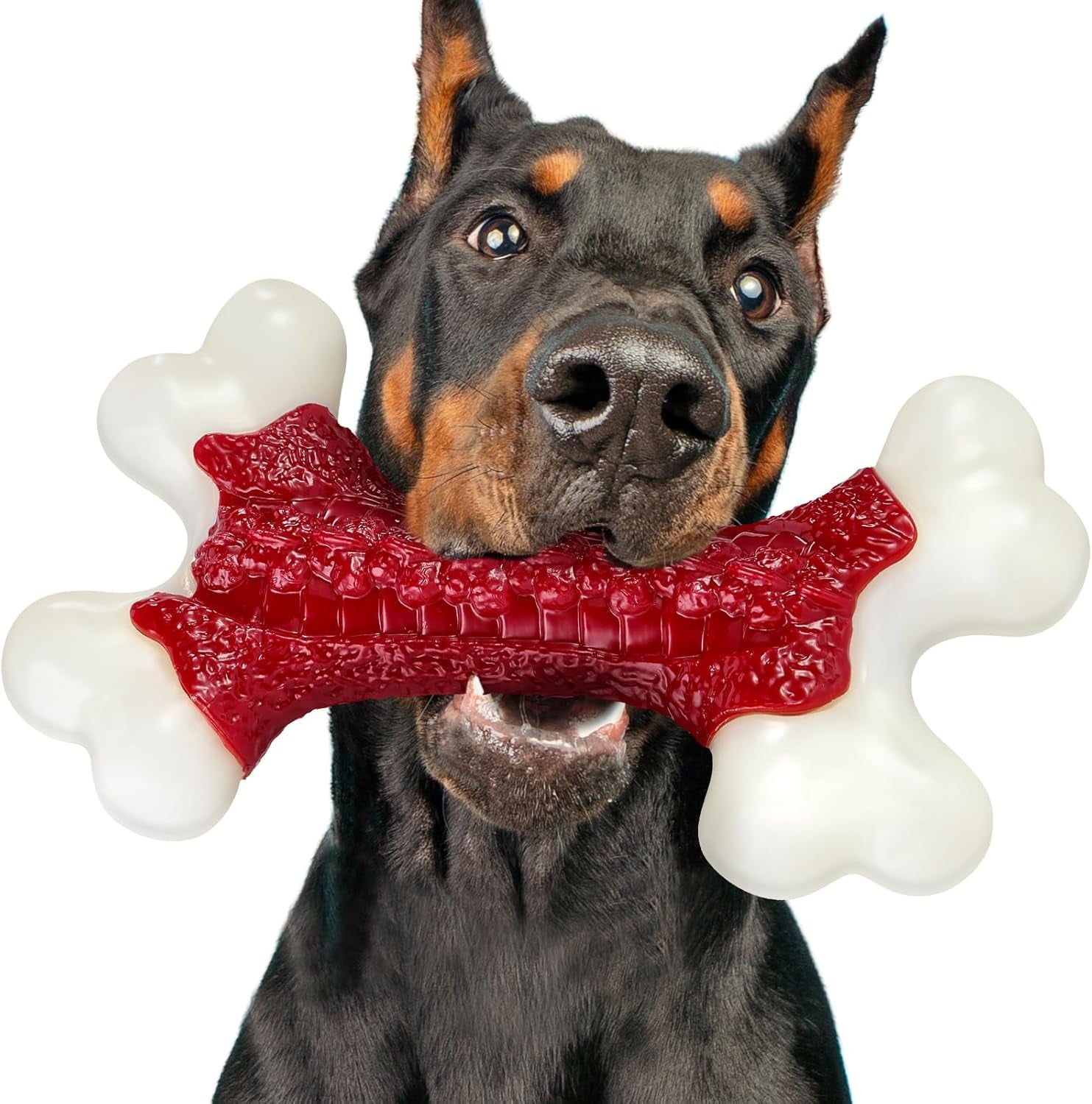 Indestructible Tough Dog Toys for Aggressive Chewers - Large Breed Nylon Bone Toy