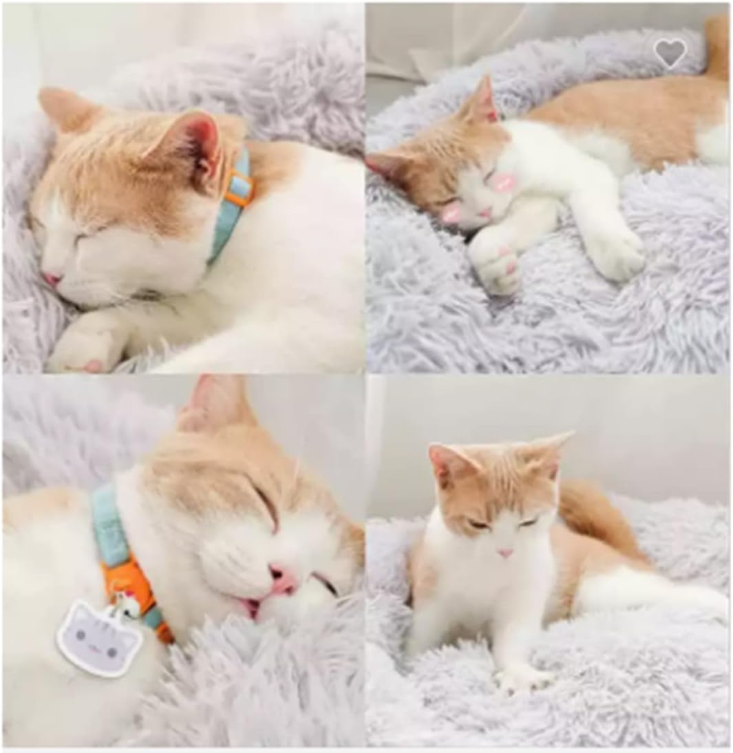 Cozy 20-Inch Dog Bed for Small to Large Dogs & Cats - Plush, Washable, and Slip-Resistant for Ultimate Comfort