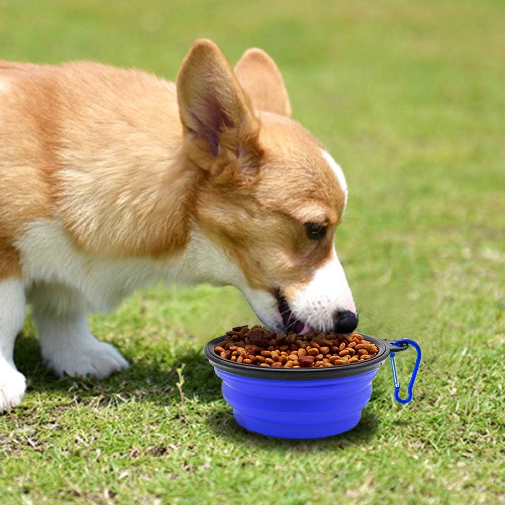 Portable Collapsible Dog Bowls - 2 Pack Travel Feeding & Watering Dishes for Pets - Perfect for Hiking, Camping, and Outdoor Adventures - Blue & Green